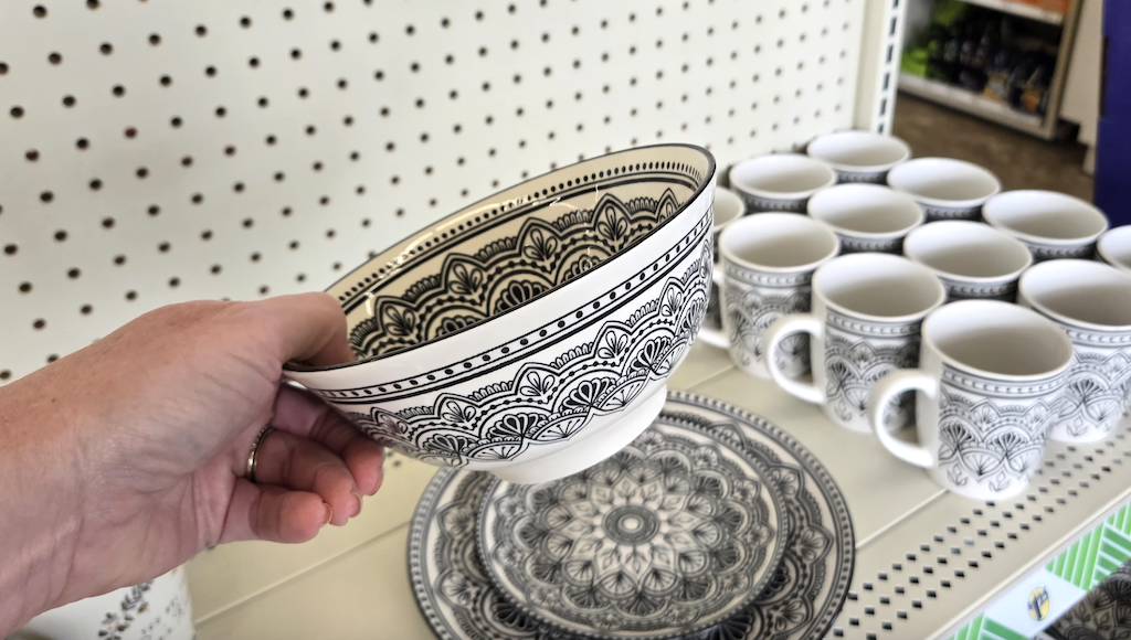 holding Dollar Tree bowl 