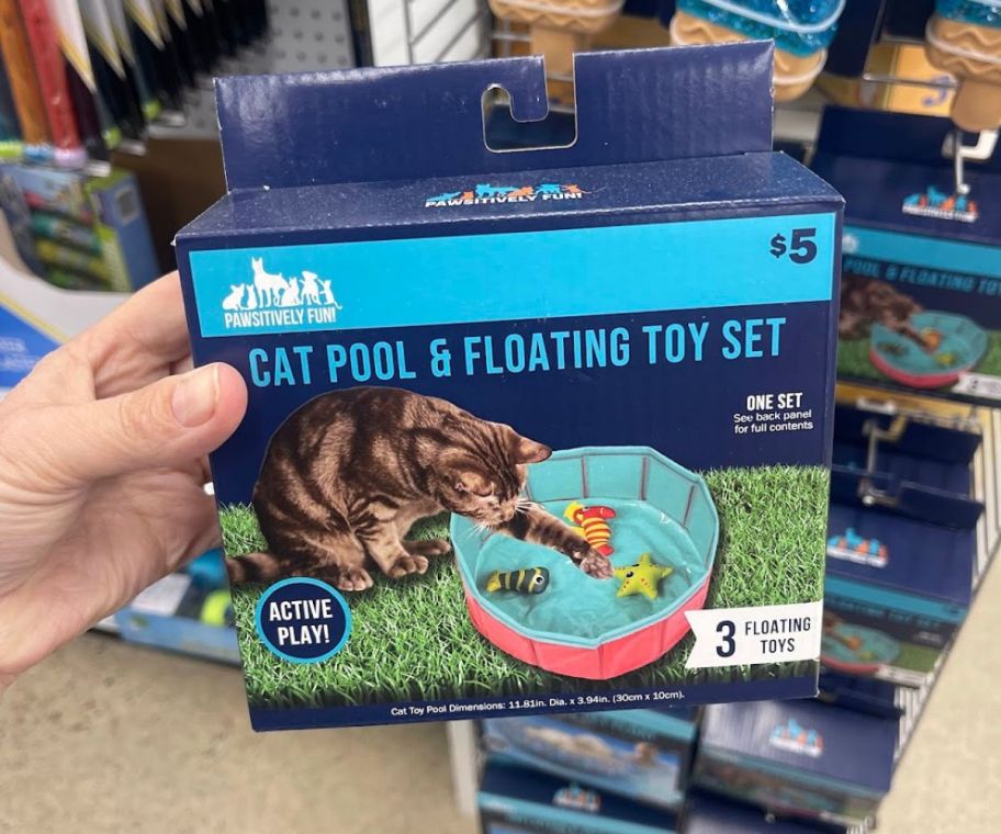 A person holding a box featuring a cat pool