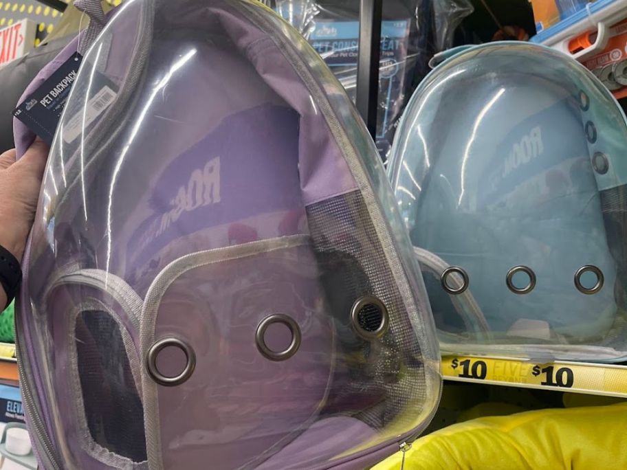 two pet backpacks
