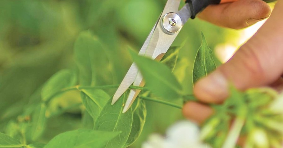 Set Your Alarm! Free Garden Snips at Lowe’s on 6/14