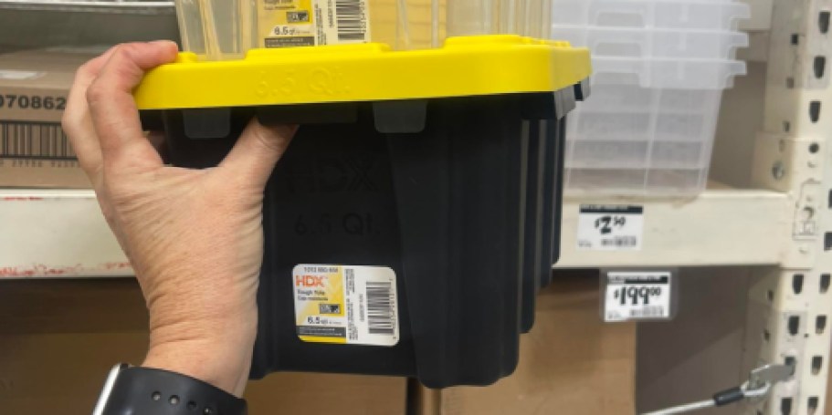 These $2.50 Mini Home Depot Storage Totes Are Going Viral (Grab Yours Before They Sell Out!)