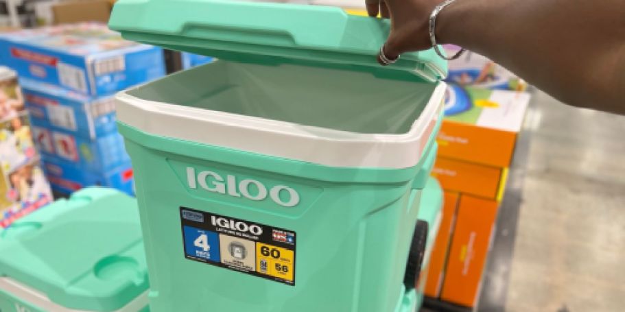 Igloo Hard-Sided Coolers in Spring Colors from $15.99 on Target.com – Ends Tonight!