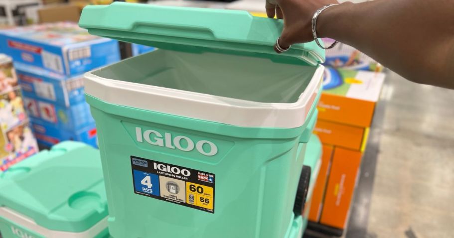 Igloo Hard-Sided Coolers in Spring Colors from $15.99 on Target.com – Ends Tonight!