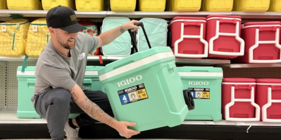 Igloo Hard-Sided Coolers in Spring Colors from $15.99 at Target