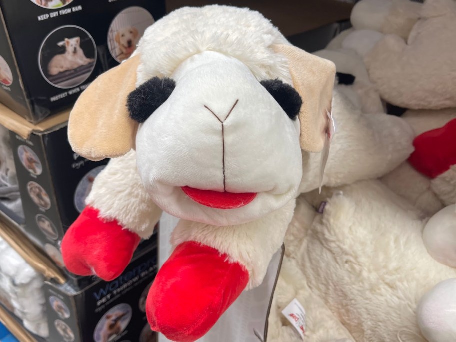 Jumbo lamb chop toy inside Sam's Club