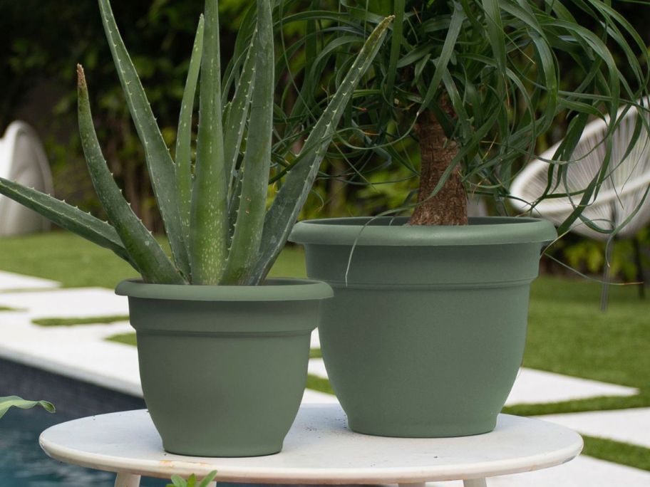 Two Bloem Round Plastic Indoor/Outdoor Self-Watering Planters on a table