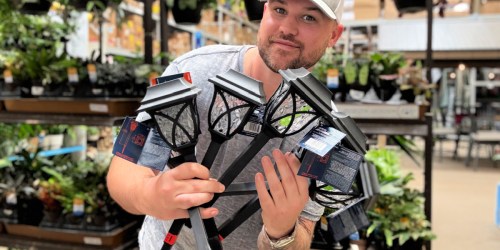 Solar LED Outdoor Path Lights ONLY $2.48 on Lowes.com