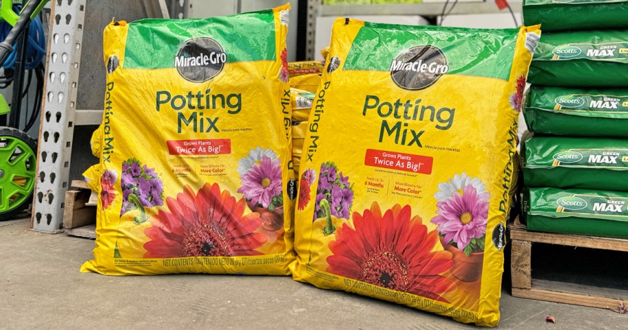 two yellow bags of Miracle-Gro Potting Mix in garden center