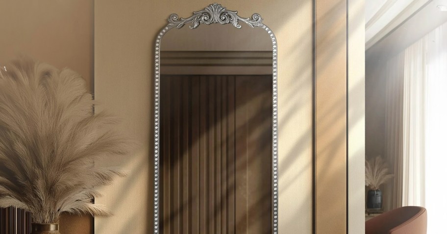 Ornate Floor Mirror in Living Room