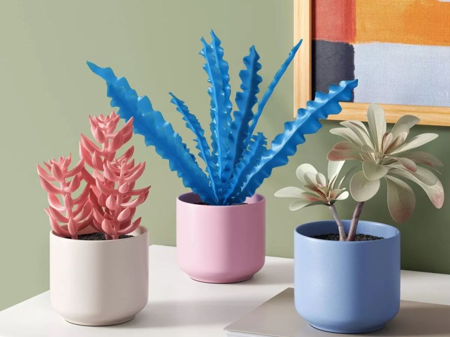 3 multicolored faux succulents