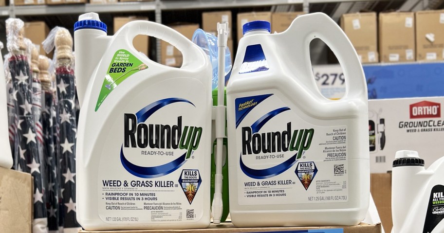 two white and blue bottles of Roundup Weed and Grass Killer