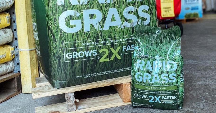 green bag of Scotts Turf Builder Rapid Grass on floor of hardware store