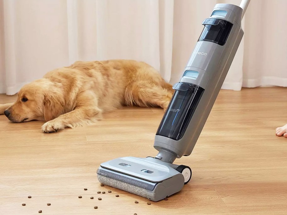 cleaning up pet food on floor with Tineco GO H20 Sense Cordless Floor Washer