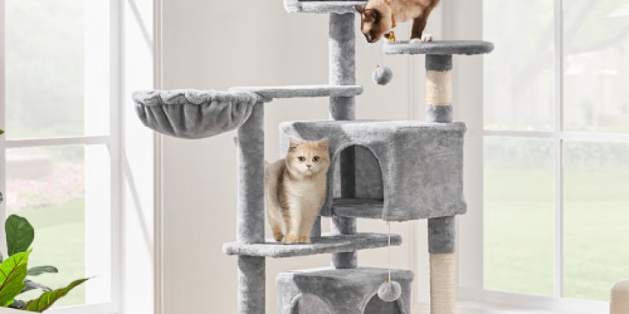 Large Cat Trees from $35.99 Shipped on Petco.com (Regularly $60)