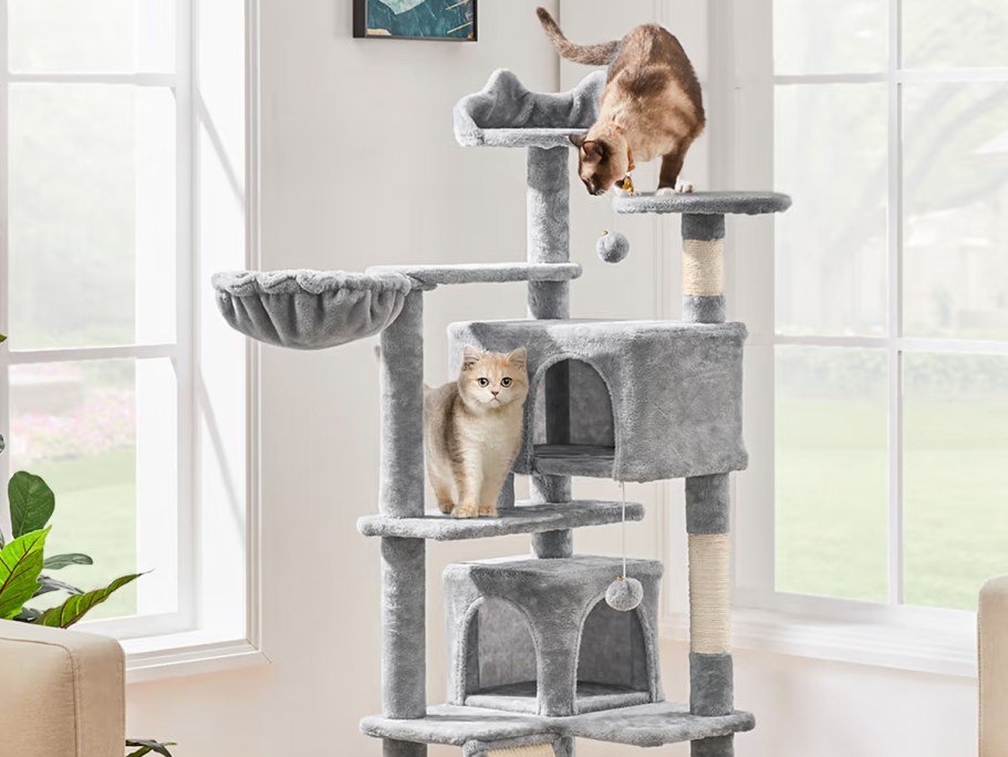 Large Cat Trees from $35.99 Shipped on Petco.com (Regularly $60)