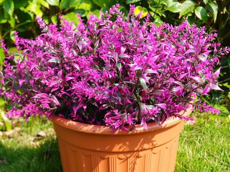Artificial Red Lotus Flowers in pot outside on grass