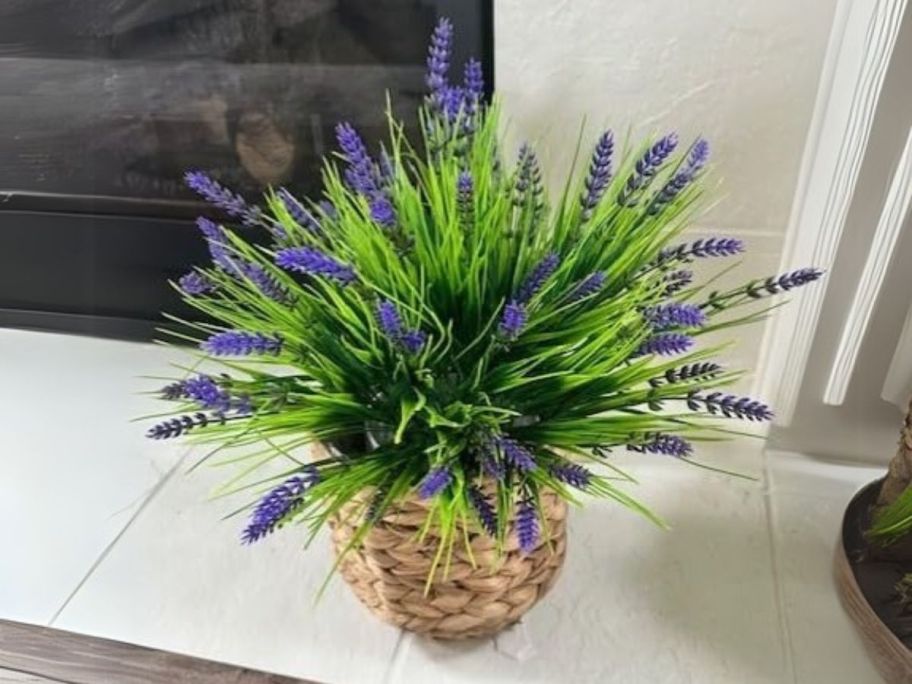 purple flowers in a pot near fireplace