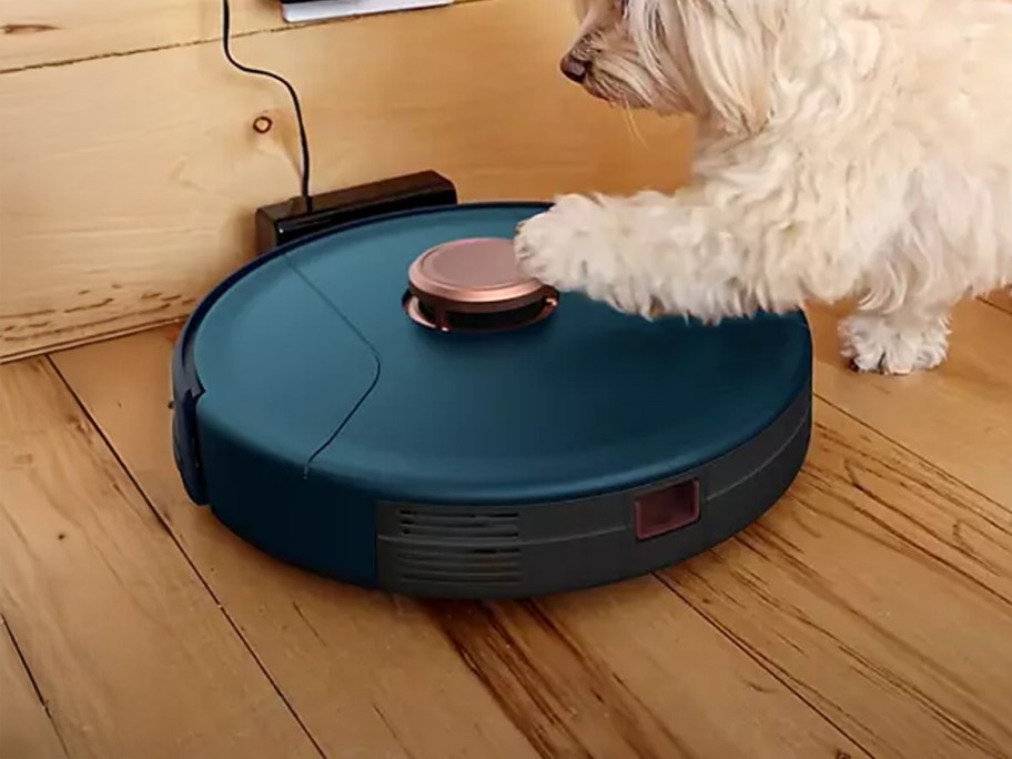 bObsweep PetHair SLAM Wi-Fi Connected Robotic Vacuum Cleaner and Mop on a floor with a dog
