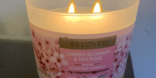 WOW! Score 4 Beloved Products for Just $1.46 After Cash Back at Target (Over $30 Value!)
