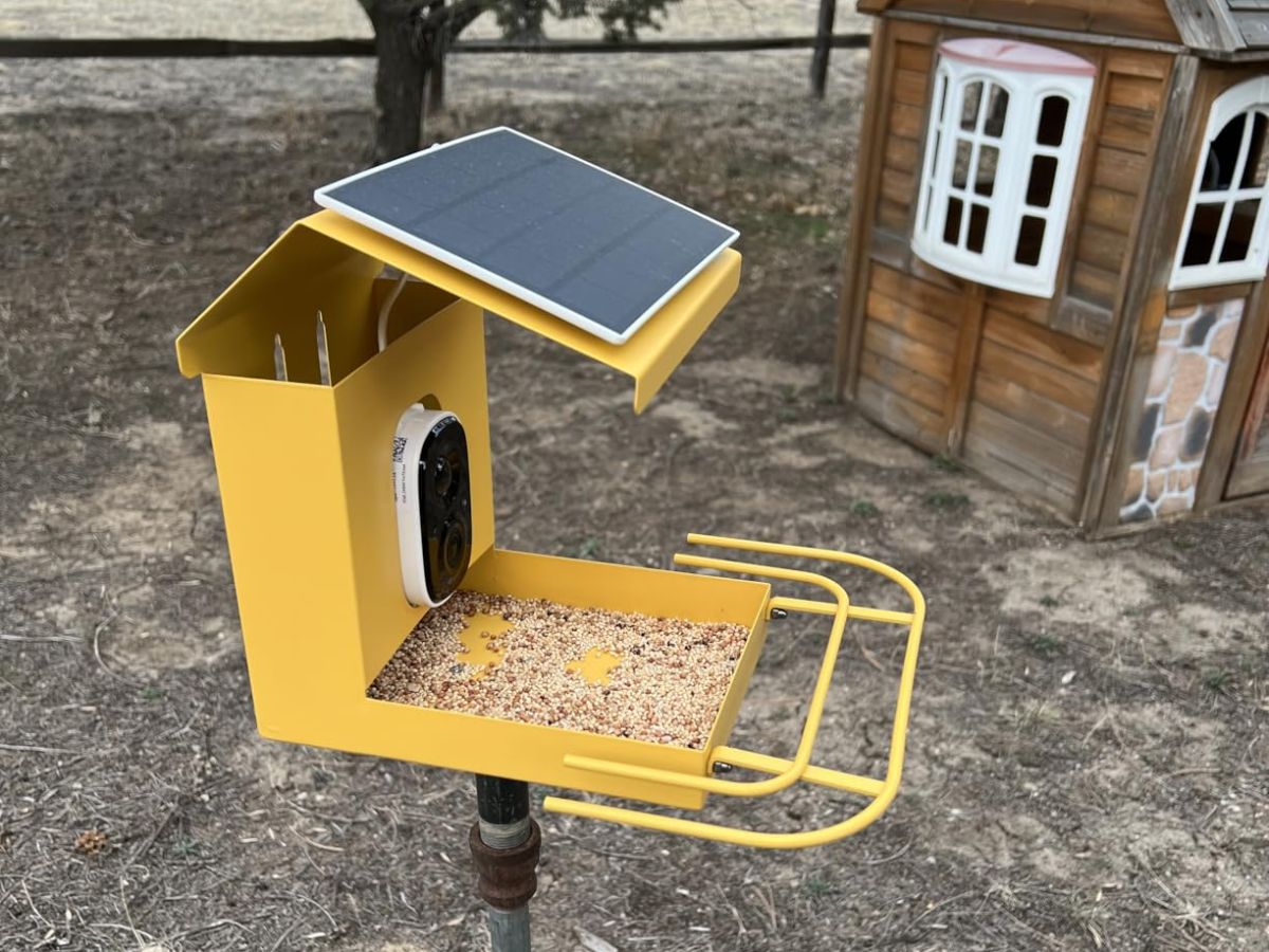 Smart Bird Feeders from $54.50 Shipped on Amazon (Reg. $109)