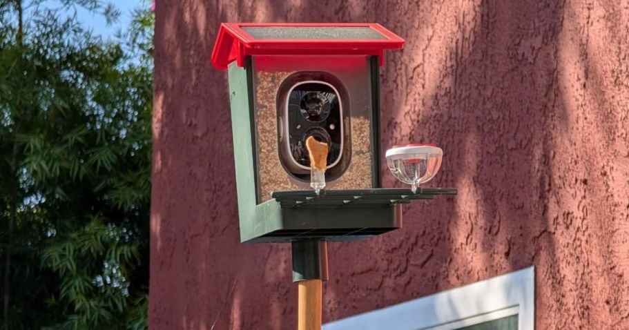 Smart Bird Feeder Only $49.99 Shipped on Amazon | Recognizes Over 10K Species!