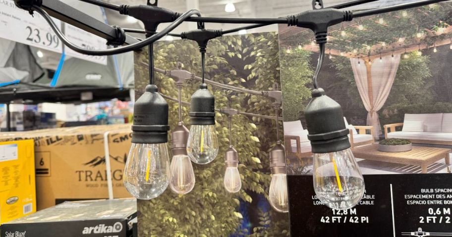 string lights hanging in store