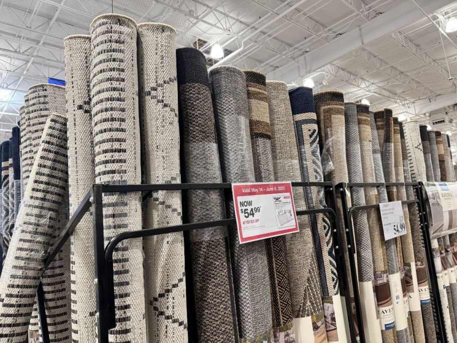 Raveena Area Indoor/Outdoor Rugs on display in store