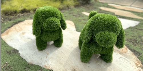 Fun Animal-Shaped Topiaries on Sale at Lowe’s
