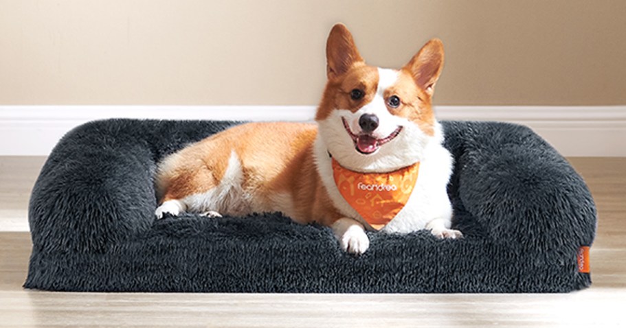 Orthopedic Dog Bed Only $19.99 on Amazon (Reg. $35)