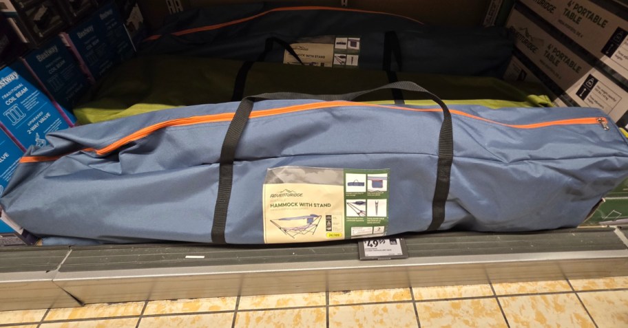 hammock with stand inside of its carrying bag at the ALDI store 