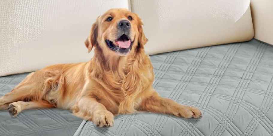 Waterproof Dog Blanket Just $5.99 on Amazon | Protect Your Sofa on the Cheap