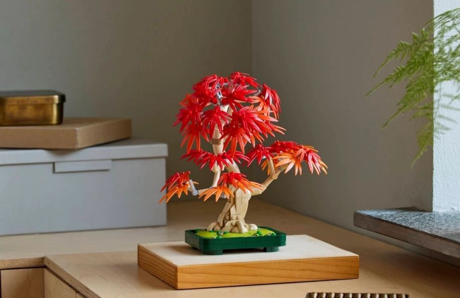 an assymbled LEGO japanese red maple bonsai tree