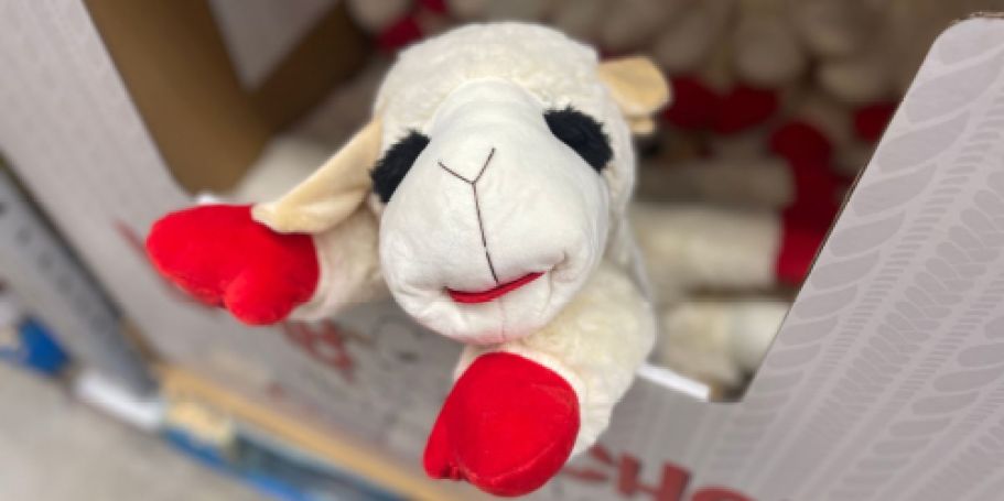 JUMBO Lamb Chop Dog Toy Only $8.97 on Amazon (Reg. $15)