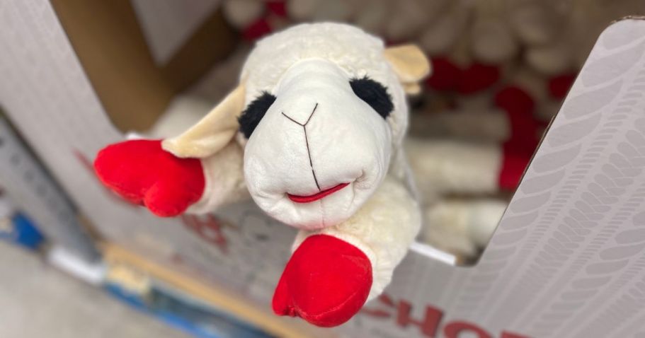 JUMBO Lamb Chop Dog Toy Only $8.97 on Amazon (Reg. $15)