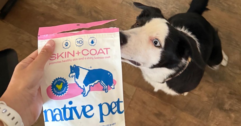 Native Pet Skin & Coat Chews Only $8.99 Shipped on Amazon (Reg. $15)