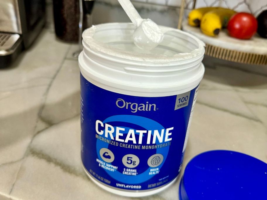 a scoop being put into Orgain Creatine Monohydrate Micronized Powder 17.64oz tub on counter