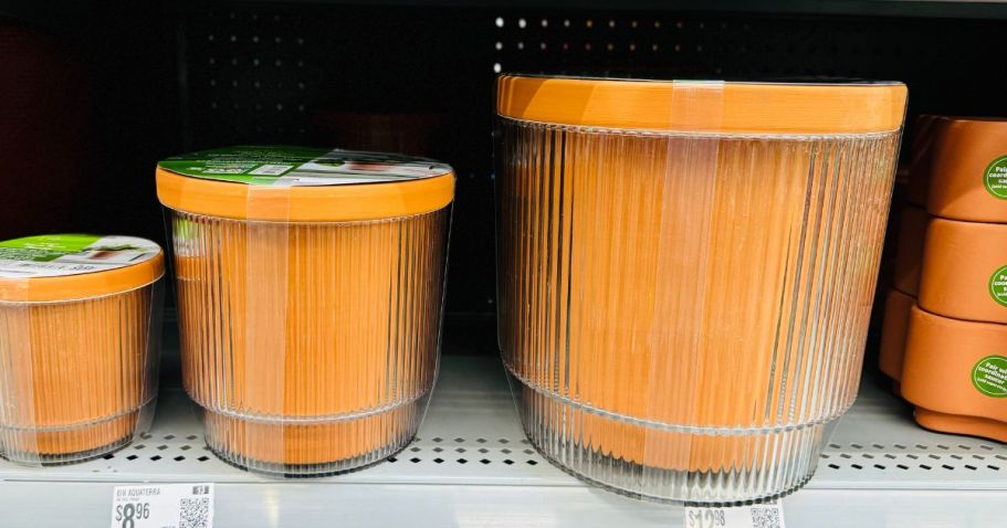 Walmart’s Self-Watering Planters Are Only $2.44
