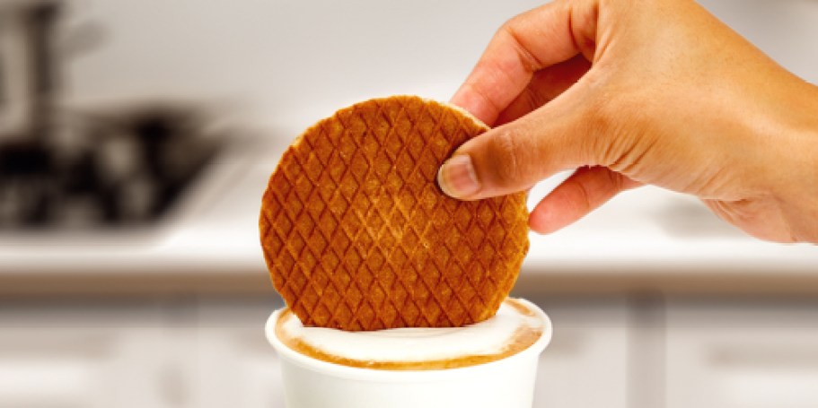 Rip Van Wafels Snickerdoodles 12-Pack Just $10.39 Shipped on Amazon | Keto-Friendly Snacks!