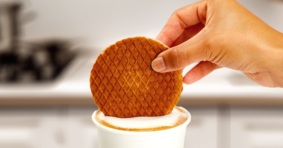 Rip Van Wafels Snickerdoodles 12-Pack Just $10.39 Shipped on Amazon | Keto-Friendly Snacks!