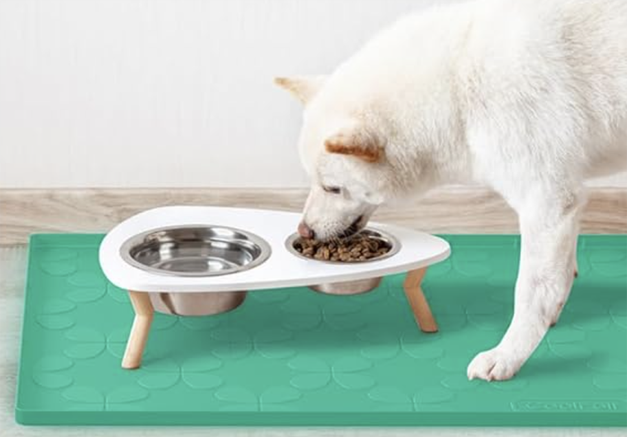dog eating food with pet mat underneath