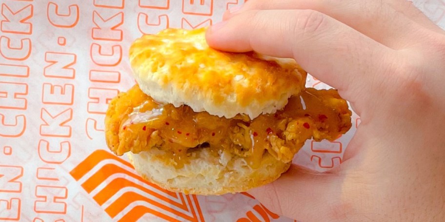 hand holding chicken biscuit