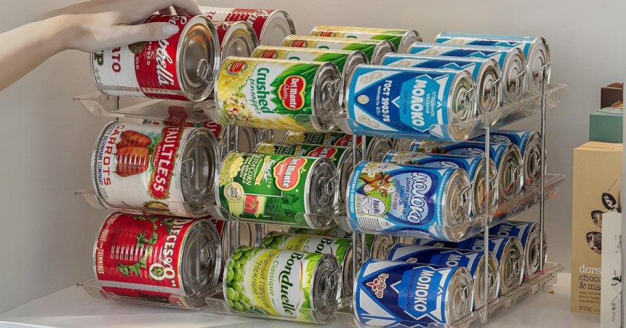 Can Organizer Only $12.99 on Amazon (Regularly $30) | Holds 36 Cans