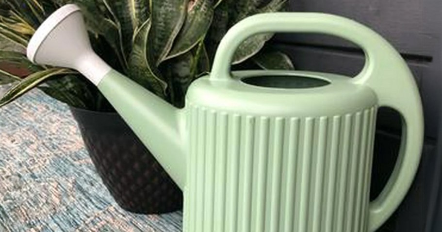2-Gallon Watering Can Just $4.97 on Walmart.com
