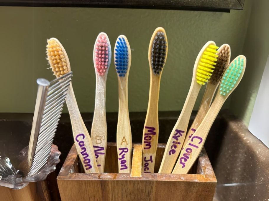 multicolored bamboo toothbrushes in holder on bathroom counter