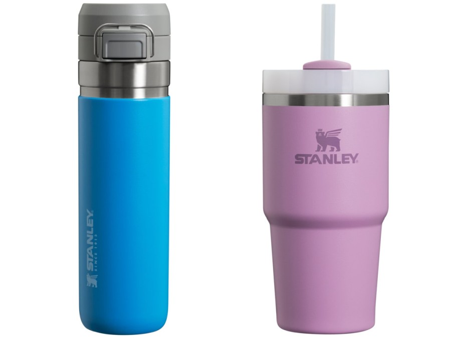 Stanley tall blue tumbler and pink quencher